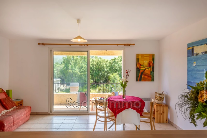 Photo Appartement Pietracorbara Corse,   achat appartement  1 pièce   30&nbsp;m&sup2;