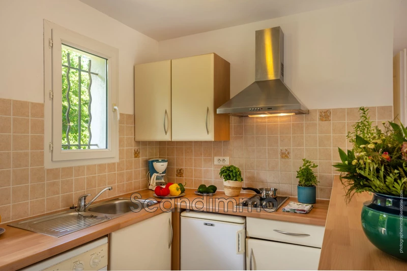 Vente appartement Pietracorbara  