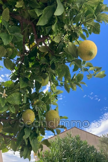 Vente maison Le Barcarès  