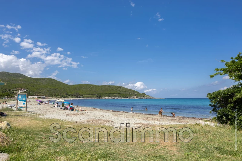 Vente appartement Brando  