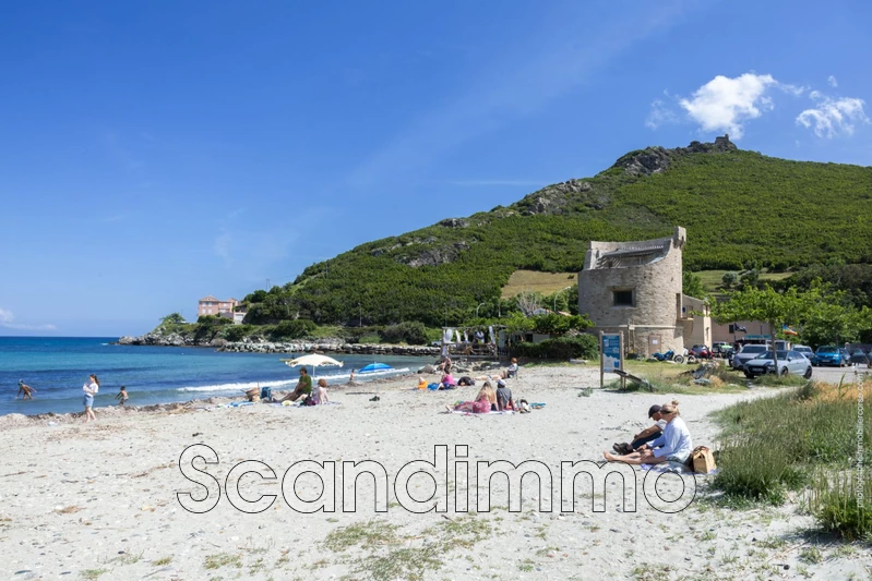 Vente appartement Brando  