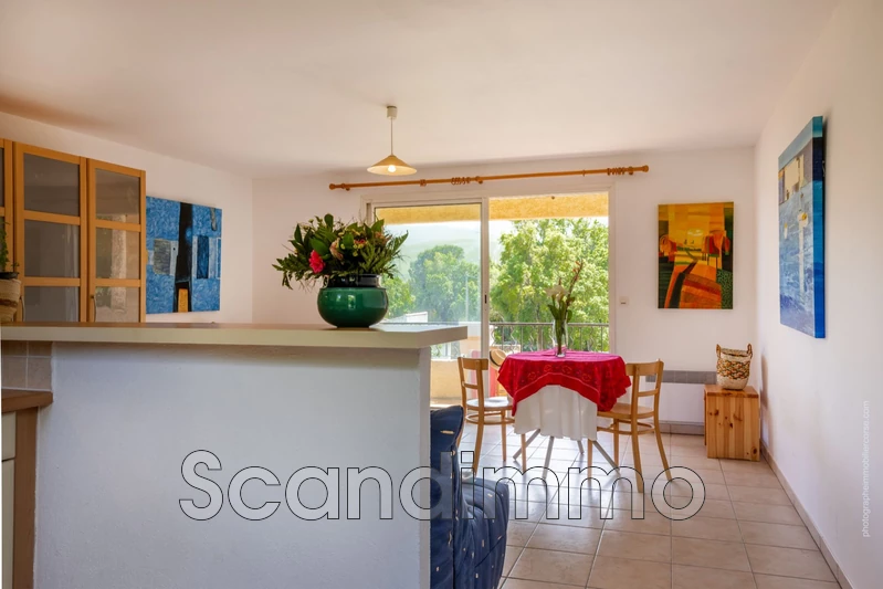 Vente appartement Brando  