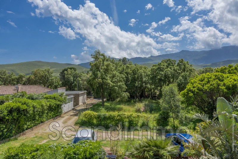 Vente appartement Brando  