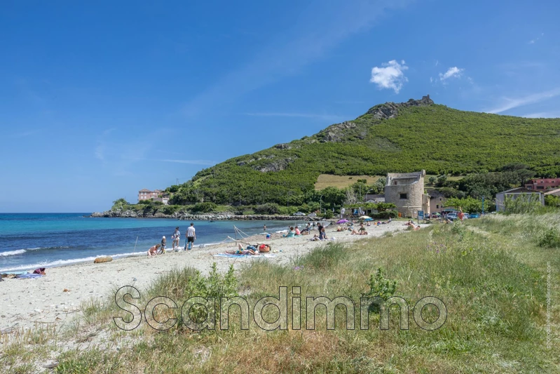 Vente appartement Brando  