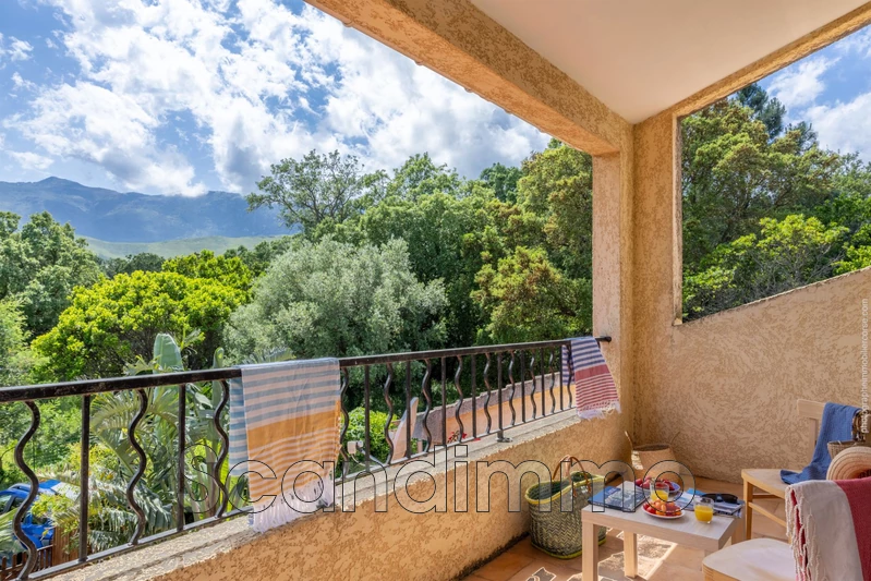 Photo Appartement Brando Corse,   achat appartement  1 pièce   30 m²