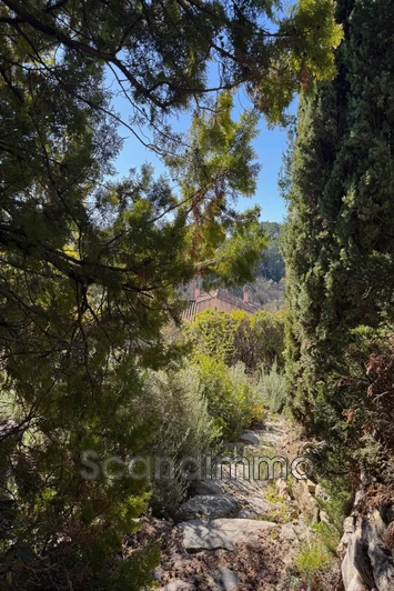 Vente maison Carcès  