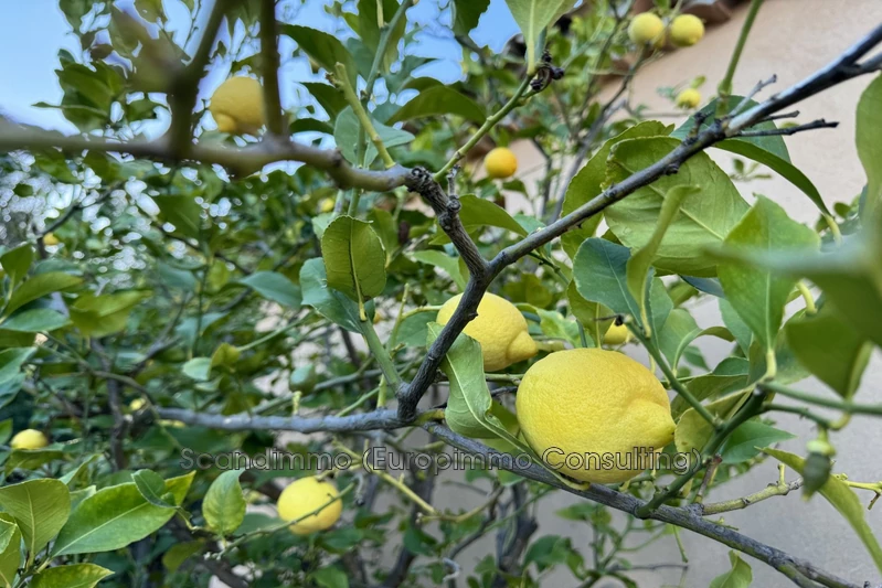 Vente maison La Garde-Freinet  