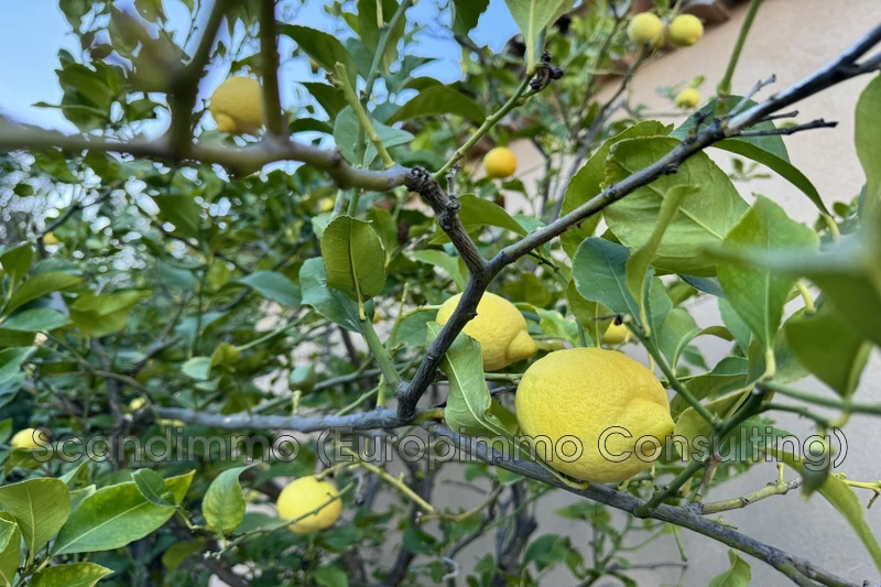 Vente maison Grimaud  