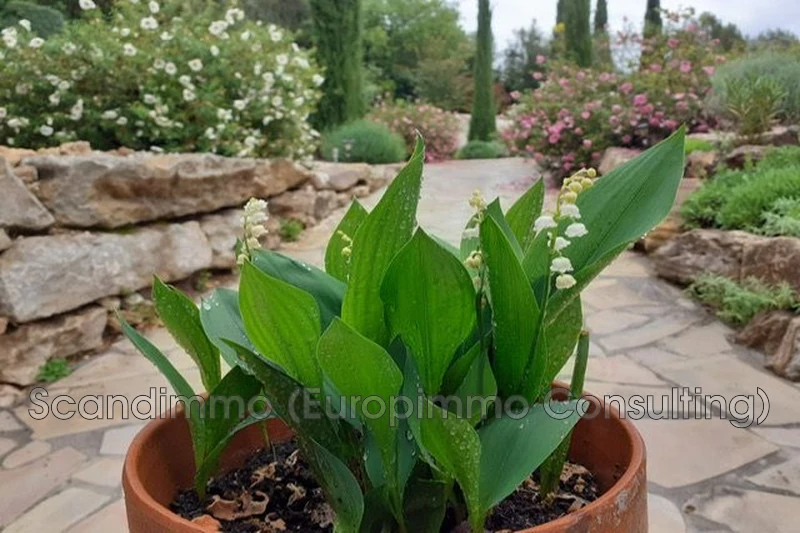 Vente maison Cotignac  