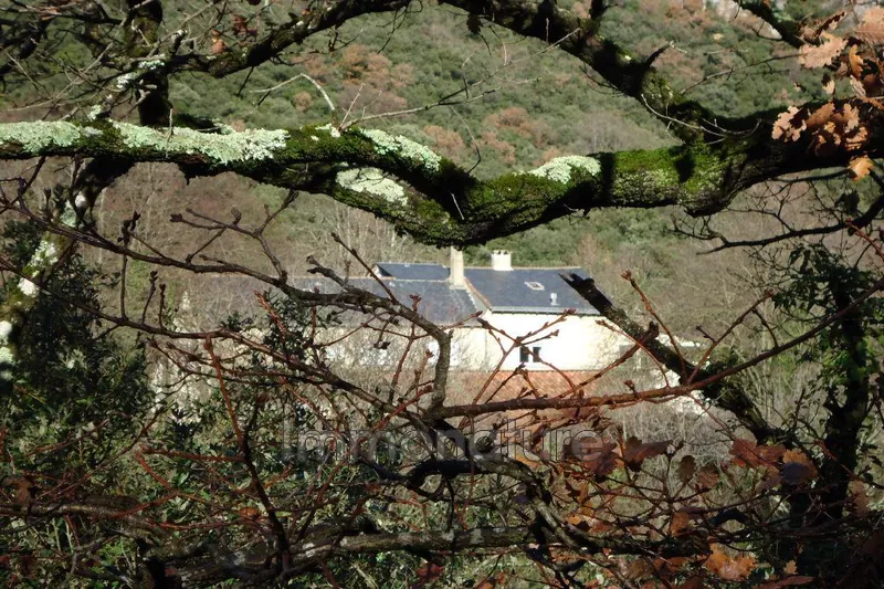 Photo Appartement Gorniès  Location saisonnière appartement  4 pièces   165&nbsp;m&sup2;