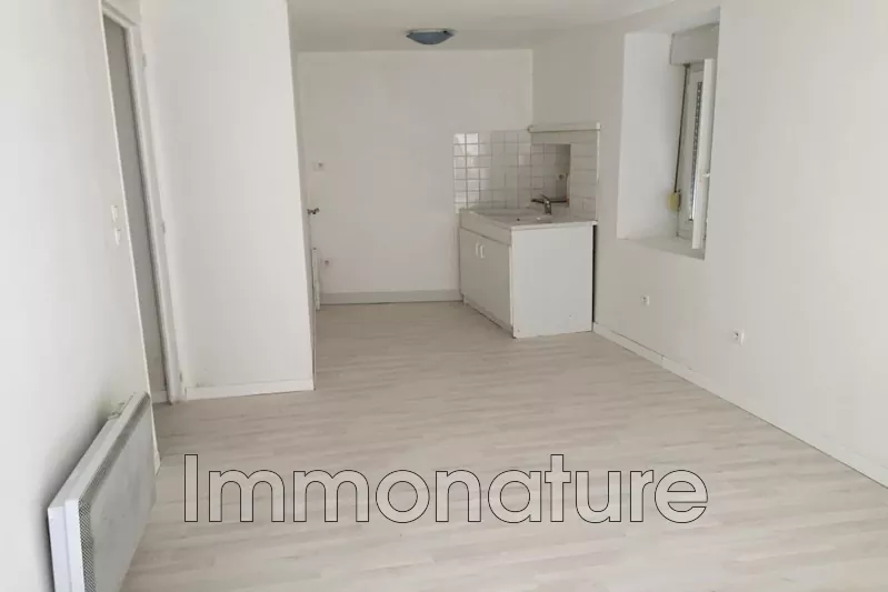 Photo Duplex Saint-Bauzille-de-Putois  Location duplex  3 pièces   41&nbsp;m&sup2;