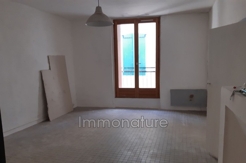 Location maison Saint-Bauzille-de-Putois  