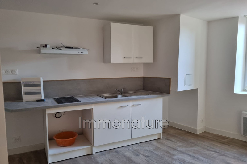 Photo Appartement Le Vigan Location appartement 2 pièces 25 m²