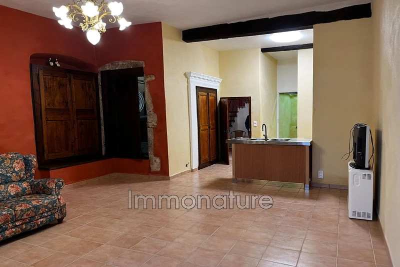 Vente idéal investisseur Sumène  