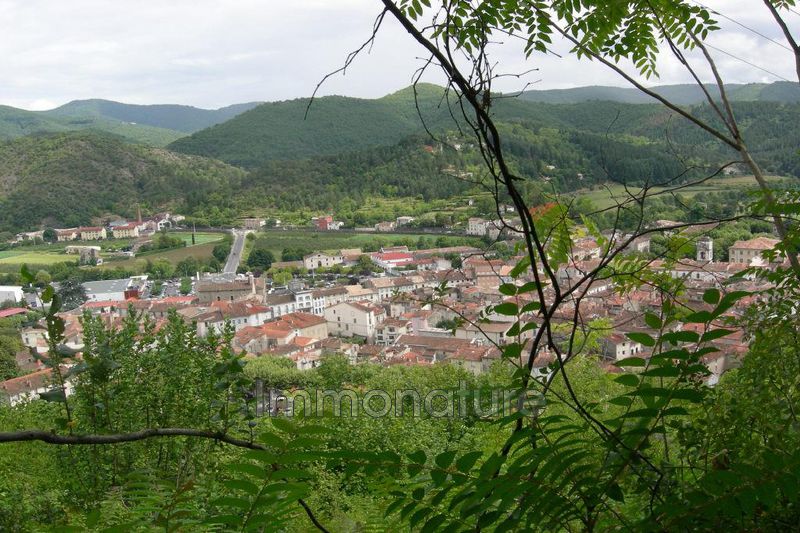 Photo Terrain à bâtir Le Vigan achat terrain à bâtir 2670 m²