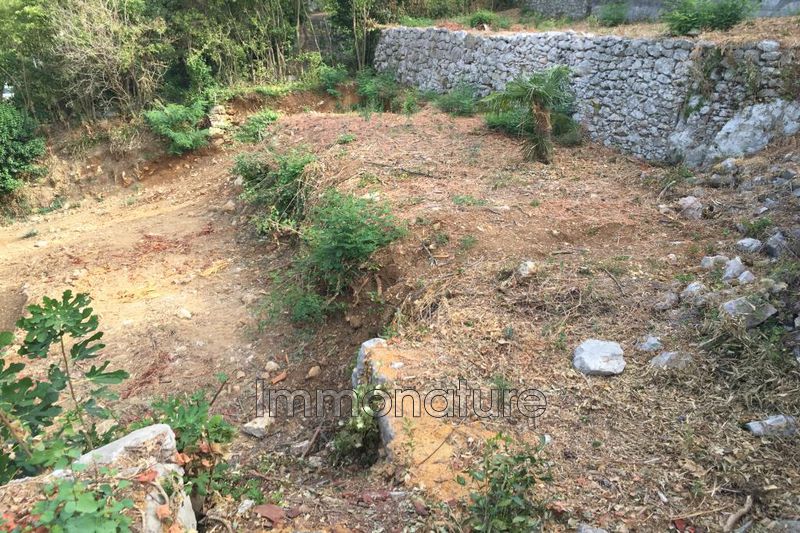 Photo Terrain Ganges achat terrain 520 m²