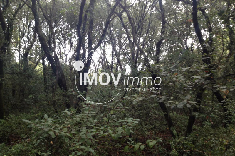 vente Terrain Aigaliers Terrain Aigaliers achat terrain 1223 m²