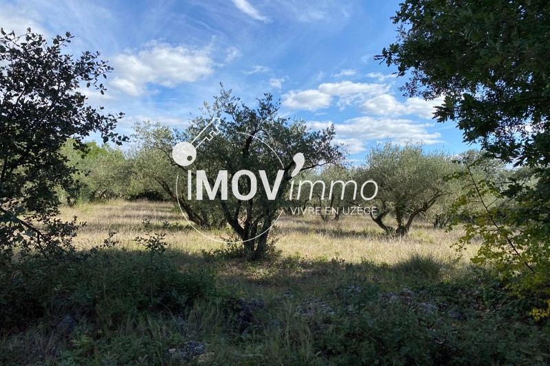 Photo Terrain Uzès Uzès ouest, achat terrain 801 m²