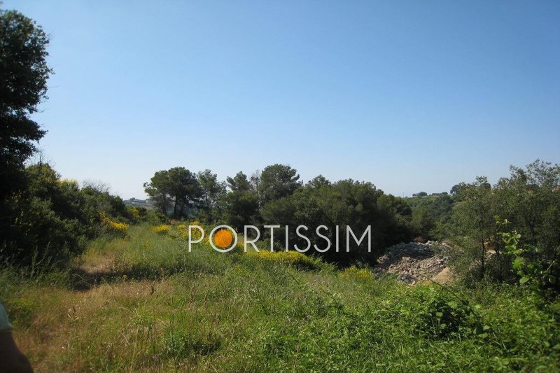Photo Terrain Cagnes-sur-Mer achat terrain 1500 m²