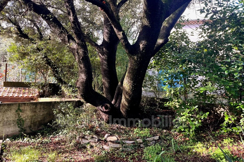 Vente maison Castelnau-le-Lez  