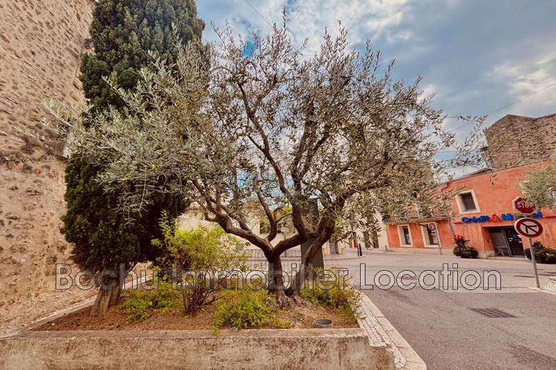 Location appartement Castelnau-le-Lez  