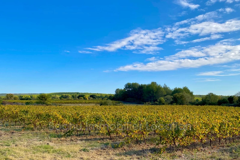 Location appartement Saint-Mathieu-de-Tréviers Location appartement Saint-Mathieu-de-Tréviers