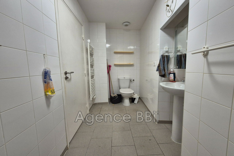 Professionnel  Levens  