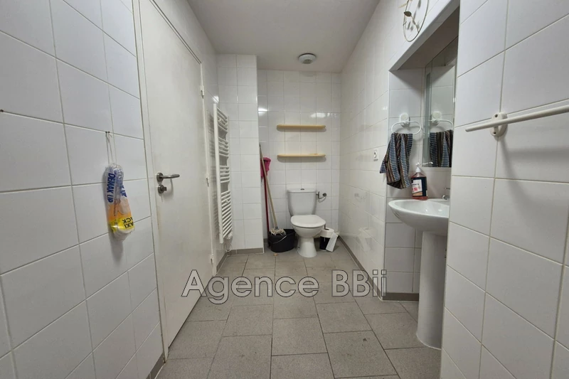 Professionnel  Levens  