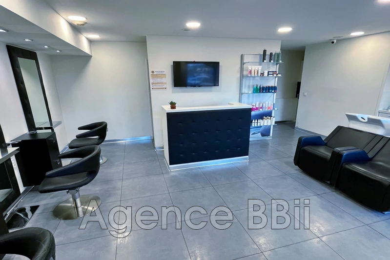 Professionnel  Gattières  