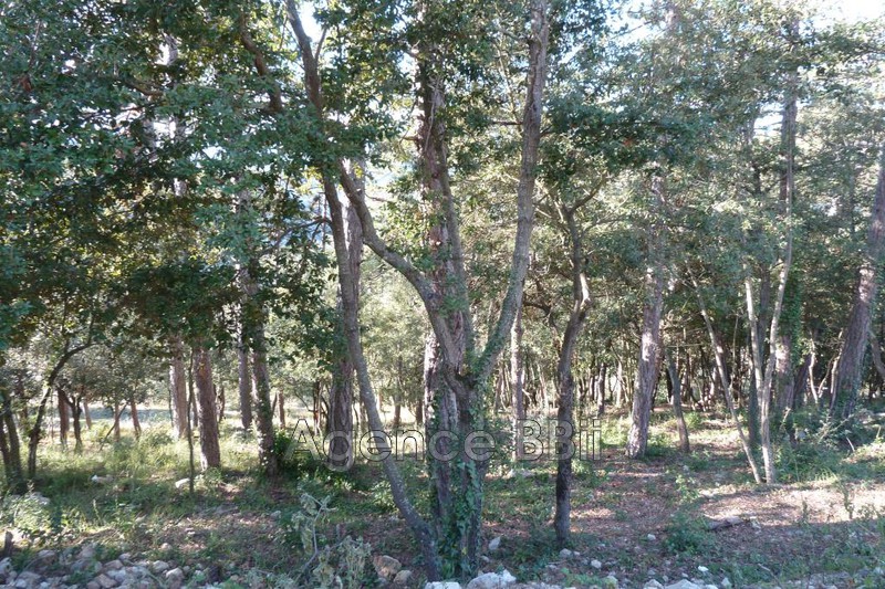Photo Building land Levens Village, to buy building land 1169 m²