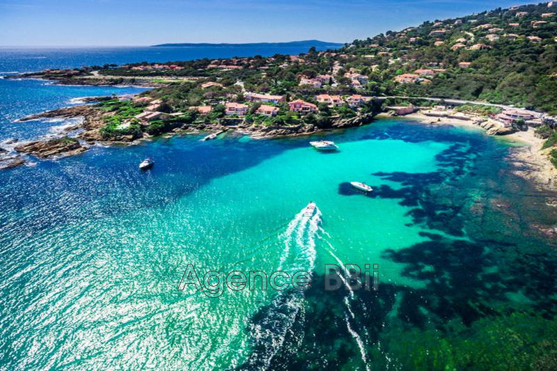 Photo Villa Roquebrune-Cap-Martin achat villa 3 chambres 200 m²