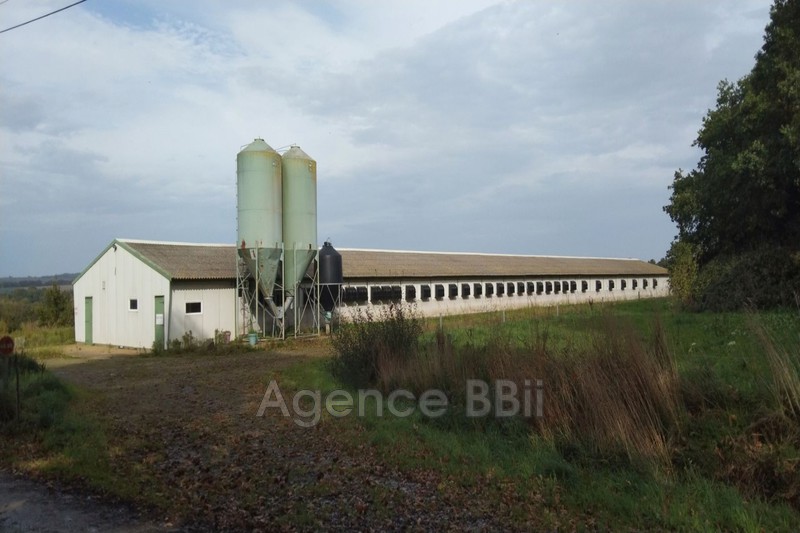 Idéal investisseur Corlay Bretagne,   achat idéal investisseur  1 pièce   1100&nbsp;m&sup2;