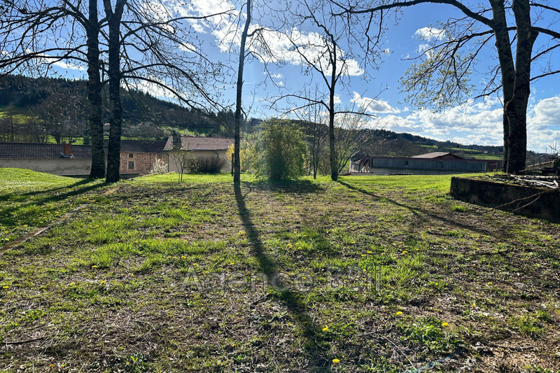 Vente maison de campagne Belmont-de-la-Loire  