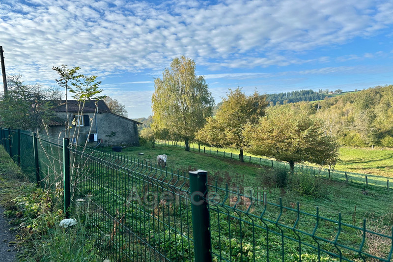 Vente maison de campagne Combre  