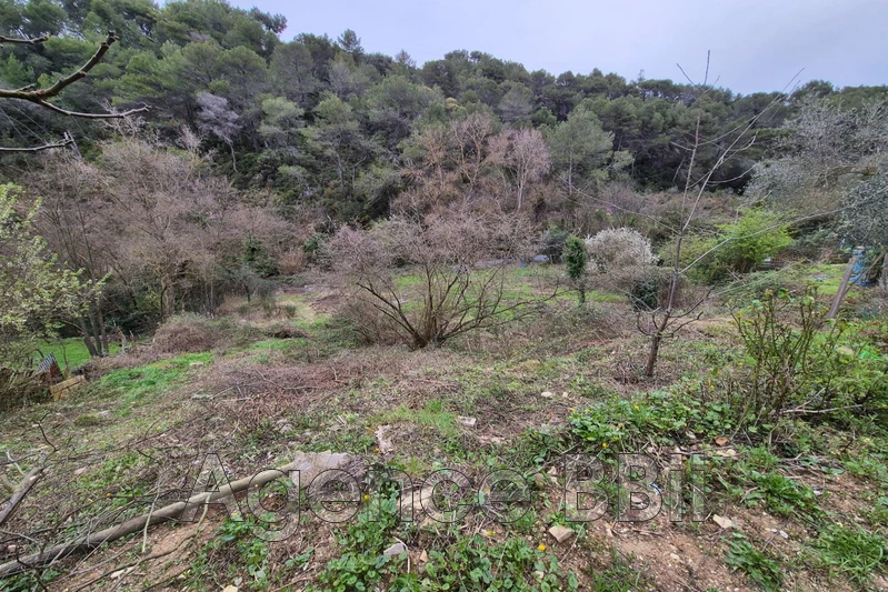 Vente chalet La Trinité  