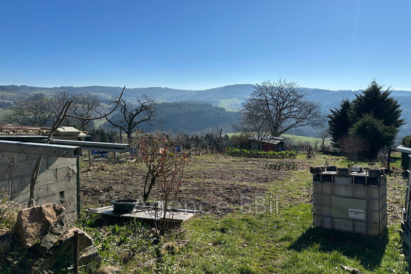 Vente maison de campagne Cours-la-Ville  