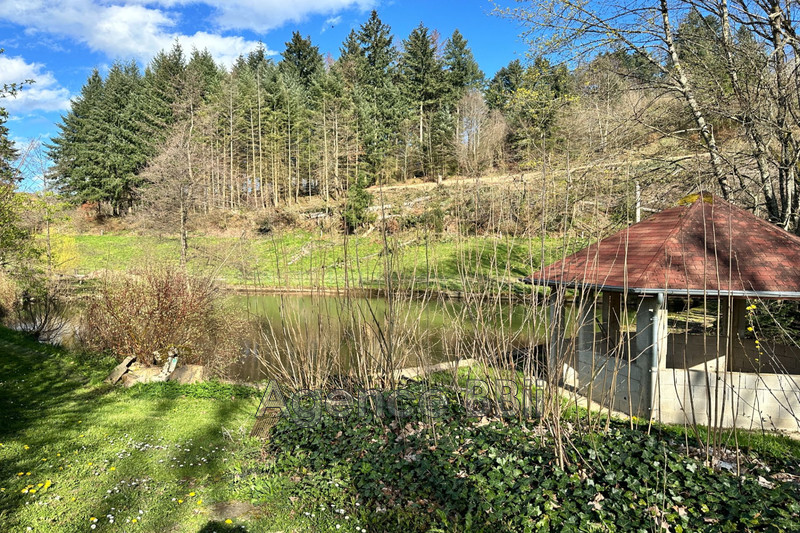Vente maison de campagne Belmont-de-la-Loire  