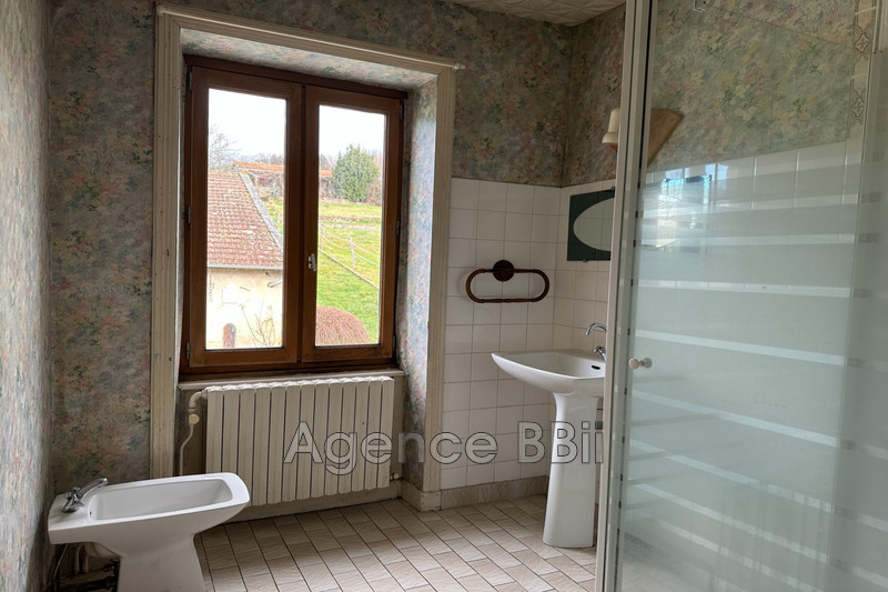 Vente maison en pierre Saint-Denis-de-Cabanne  