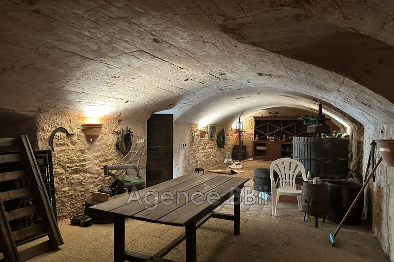 Vente maison en pierre Saint-Denis-de-Cabanne  