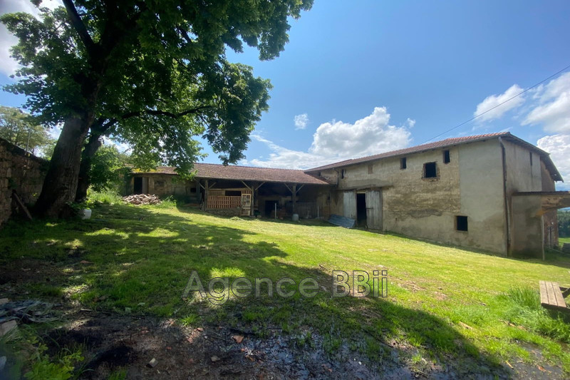 Vente maison en pierre Charlieu  