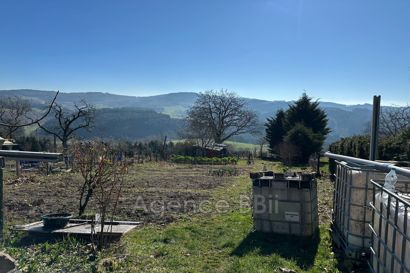 Vente maison de campagne Cours-la-Ville  