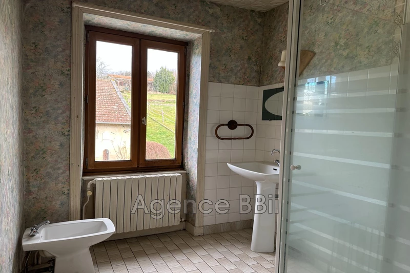 Vente maison en pierre Saint-Denis-de-Cabanne  