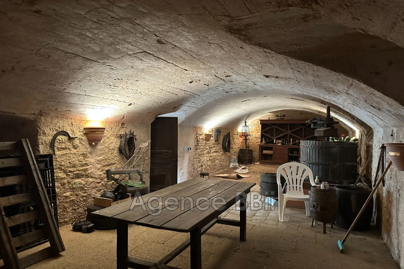 Vente maison en pierre Saint-Denis-de-Cabanne  