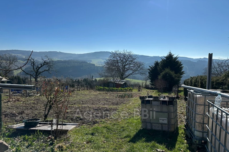Vente maison de campagne Cours-la-Ville  