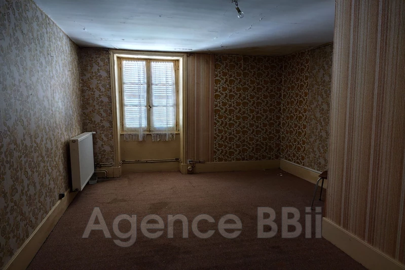 Vente idéal investisseur Chambilly  