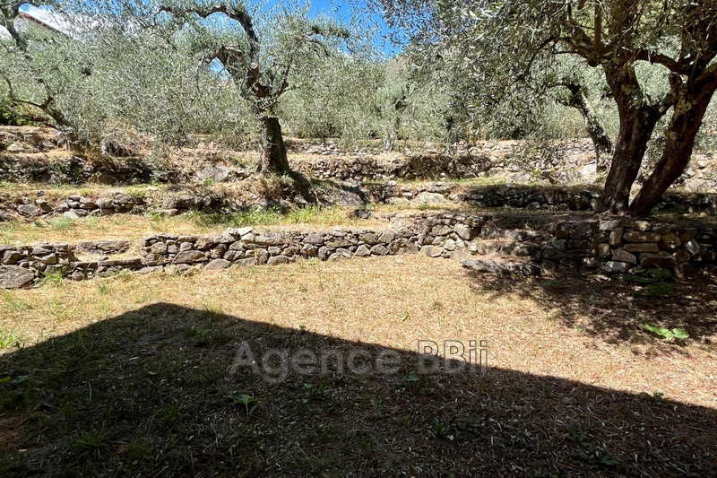 Vente maison Breil-sur-Roya  