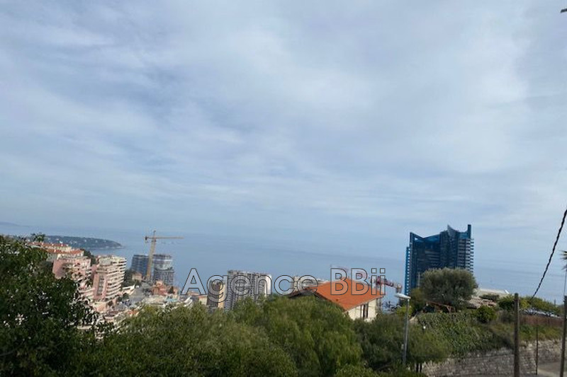 Vente terrain Beausoleil  