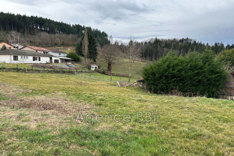 Vente terrain constructible Cuinzier  