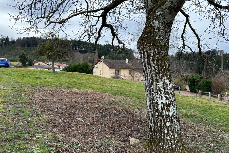 Vente terrain constructible Cuinzier  