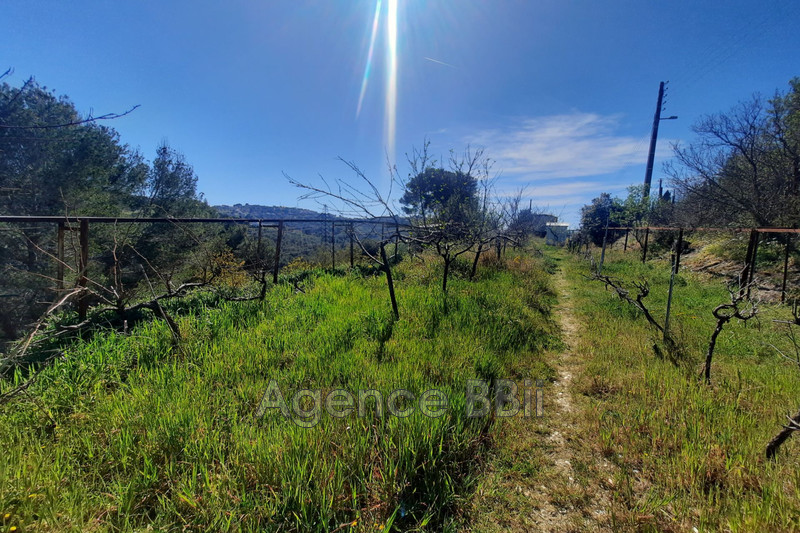 Terrain Nice Nice st isidore,   achat terrain   7331&nbsp;m&sup2;